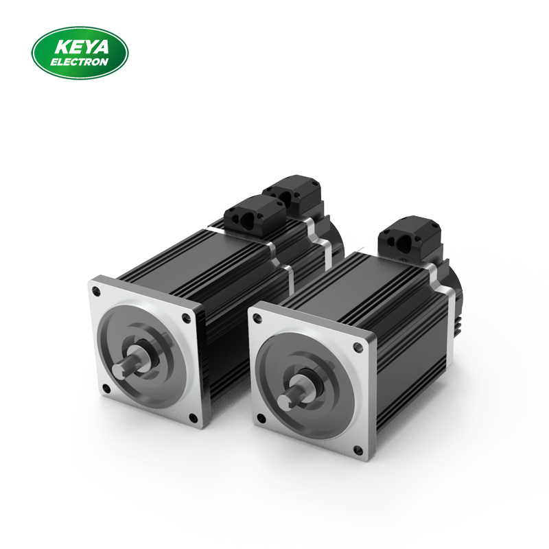 安徽正规买球官方官网（中国）官方网站110系列 48V 500W 1500RPM