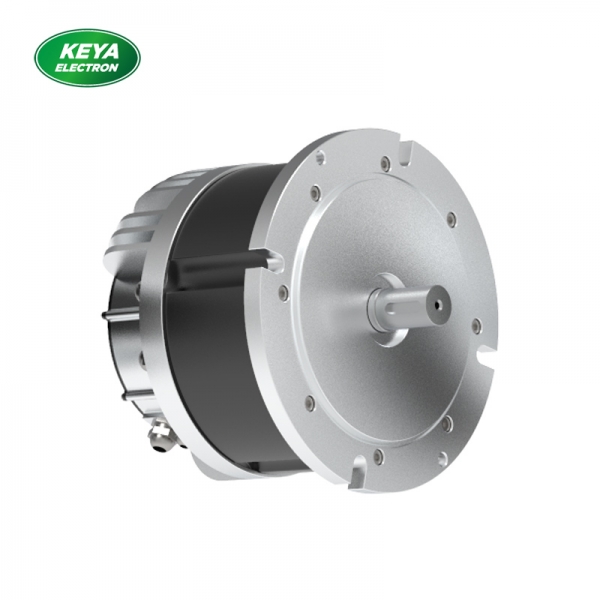 正规买球官方官网（中国）官方网站215系列48V 4000W 1500RPM